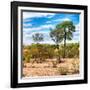 Awesome South Africa Collection Square - Savanna Landscape III-Philippe Hugonnard-Framed Photographic Print