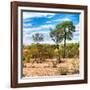 Awesome South Africa Collection Square - Savanna Landscape III-Philippe Hugonnard-Framed Photographic Print