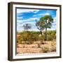 Awesome South Africa Collection Square - Savanna Landscape III-Philippe Hugonnard-Framed Photographic Print