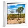 Awesome South Africa Collection Square - Savanna Landscape III-Philippe Hugonnard-Framed Photographic Print