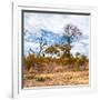 Awesome South Africa Collection Square - Savanna Landscape in Fall Colors II-Philippe Hugonnard-Framed Photographic Print