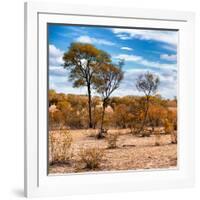 Awesome South Africa Collection Square - Savanna Landscape in Fall Colors III-Philippe Hugonnard-Framed Photographic Print