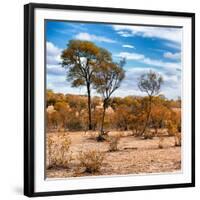 Awesome South Africa Collection Square - Savanna Landscape in Fall Colors III-Philippe Hugonnard-Framed Photographic Print