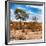Awesome South Africa Collection Square - Savanna Landscape in Fall Colors III-Philippe Hugonnard-Framed Photographic Print