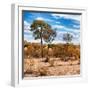 Awesome South Africa Collection Square - Savanna Landscape in Fall Colors III-Philippe Hugonnard-Framed Photographic Print