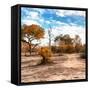 Awesome South Africa Collection Square - Savanna Landscape in Fall Colors-Philippe Hugonnard-Framed Stretched Canvas