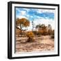 Awesome South Africa Collection Square - Savanna Landscape in Fall Colors-Philippe Hugonnard-Framed Photographic Print