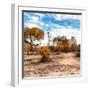 Awesome South Africa Collection Square - Savanna Landscape in Fall Colors-Philippe Hugonnard-Framed Photographic Print