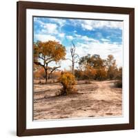 Awesome South Africa Collection Square - Savanna Landscape in Fall Colors-Philippe Hugonnard-Framed Photographic Print