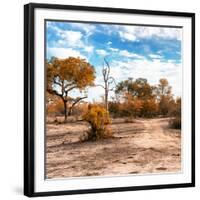 Awesome South Africa Collection Square - Savanna Landscape in Fall Colors-Philippe Hugonnard-Framed Photographic Print