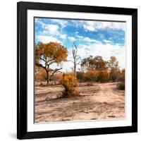 Awesome South Africa Collection Square - Savanna Landscape in Fall Colors-Philippe Hugonnard-Framed Photographic Print