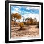 Awesome South Africa Collection Square - Savanna Landscape in Fall Colors-Philippe Hugonnard-Framed Photographic Print