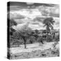 Awesome South Africa Collection Square - Savanna Landscape IV B&W-Philippe Hugonnard-Stretched Canvas