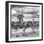 Awesome South Africa Collection Square - Savanna Landscape VI B&W-Philippe Hugonnard-Framed Photographic Print