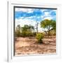 Awesome South Africa Collection Square - Savanna Landscape-Philippe Hugonnard-Framed Photographic Print