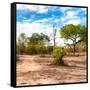 Awesome South Africa Collection Square - Savanna Landscape-Philippe Hugonnard-Framed Stretched Canvas