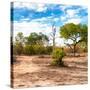 Awesome South Africa Collection Square - Savanna Landscape-Philippe Hugonnard-Stretched Canvas