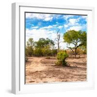 Awesome South Africa Collection Square - Savanna Landscape-Philippe Hugonnard-Framed Photographic Print