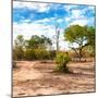 Awesome South Africa Collection Square - Savanna Landscape-Philippe Hugonnard-Mounted Photographic Print