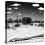 Awesome South Africa Collection Square - Savannah Landscape II B&W-Philippe Hugonnard-Stretched Canvas