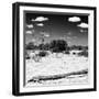 Awesome South Africa Collection Square - Savannah Landscape II B&W-Philippe Hugonnard-Framed Photographic Print