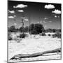 Awesome South Africa Collection Square - Savannah Landscape II B&W-Philippe Hugonnard-Mounted Photographic Print