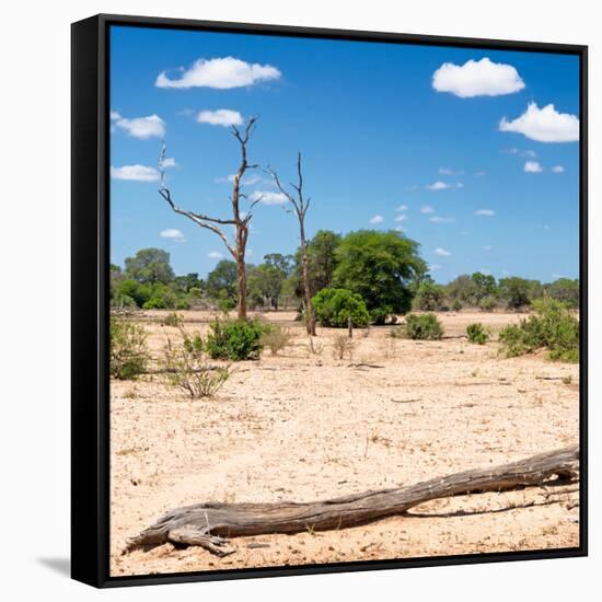 Awesome South Africa Collection Square - Savannah Landscape II-Philippe Hugonnard-Framed Stretched Canvas