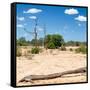 Awesome South Africa Collection Square - Savannah Landscape II-Philippe Hugonnard-Framed Stretched Canvas