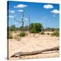 Awesome South Africa Collection Square - Savannah Landscape II-Philippe Hugonnard-Stretched Canvas