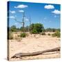 Awesome South Africa Collection Square - Savannah Landscape II-Philippe Hugonnard-Stretched Canvas