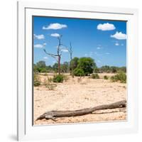 Awesome South Africa Collection Square - Savannah Landscape II-Philippe Hugonnard-Framed Photographic Print