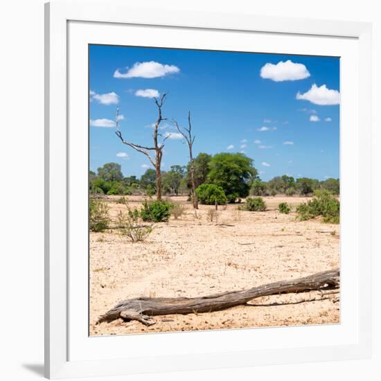 Awesome South Africa Collection Square - Savannah Landscape II-Philippe Hugonnard-Framed Photographic Print