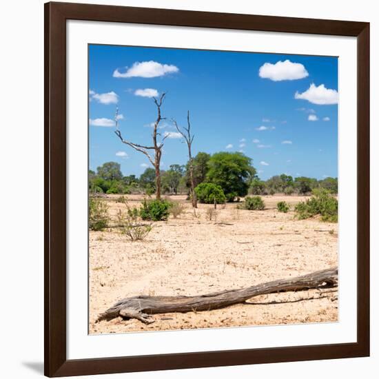 Awesome South Africa Collection Square - Savannah Landscape II-Philippe Hugonnard-Framed Photographic Print