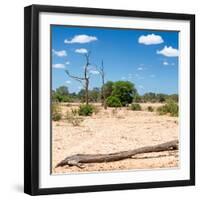 Awesome South Africa Collection Square - Savannah Landscape II-Philippe Hugonnard-Framed Photographic Print