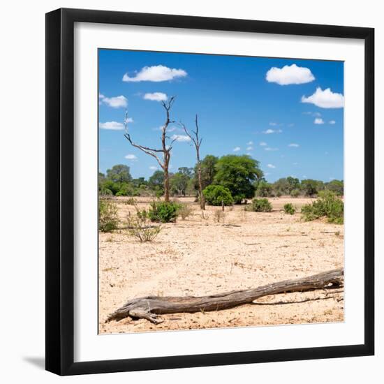 Awesome South Africa Collection Square - Savannah Landscape II-Philippe Hugonnard-Framed Photographic Print