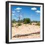 Awesome South Africa Collection Square - Savannah Landscape II-Philippe Hugonnard-Framed Photographic Print