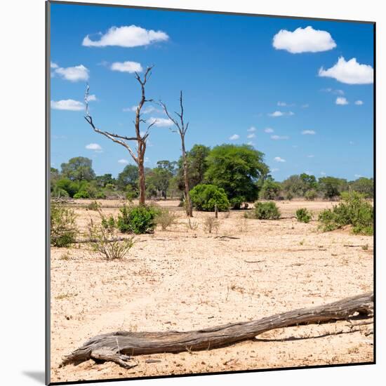 Awesome South Africa Collection Square - Savannah Landscape II-Philippe Hugonnard-Mounted Photographic Print