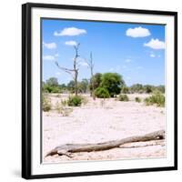 Awesome South Africa Collection Square - Savannah Landscape III-Philippe Hugonnard-Framed Photographic Print