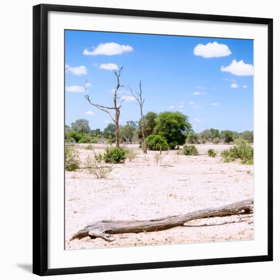 Awesome South Africa Collection Square - Savannah Landscape III-Philippe Hugonnard-Framed Photographic Print