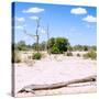 Awesome South Africa Collection Square - Savannah Landscape III-Philippe Hugonnard-Stretched Canvas