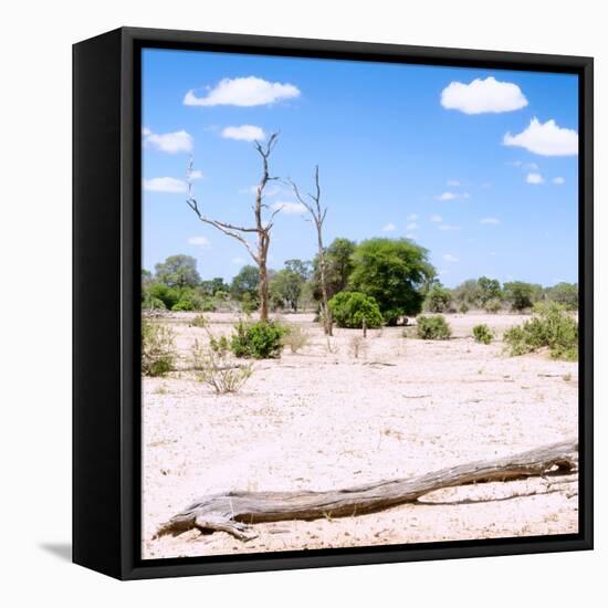 Awesome South Africa Collection Square - Savannah Landscape III-Philippe Hugonnard-Framed Stretched Canvas