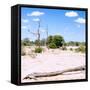 Awesome South Africa Collection Square - Savannah Landscape III-Philippe Hugonnard-Framed Stretched Canvas