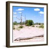 Awesome South Africa Collection Square - Savannah Landscape III-Philippe Hugonnard-Framed Photographic Print