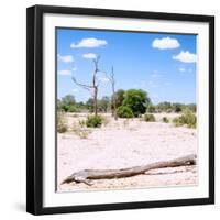 Awesome South Africa Collection Square - Savannah Landscape III-Philippe Hugonnard-Framed Photographic Print