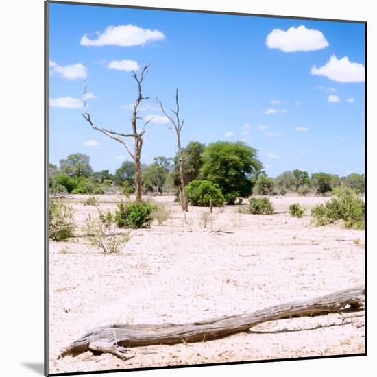 Awesome South Africa Collection Square - Savannah Landscape III-Philippe Hugonnard-Mounted Photographic Print