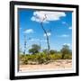 Awesome South Africa Collection Square - Savannah Landscape IV-Philippe Hugonnard-Framed Photographic Print