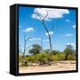 Awesome South Africa Collection Square - Savannah Landscape IV-Philippe Hugonnard-Framed Stretched Canvas