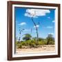 Awesome South Africa Collection Square - Savannah Landscape IV-Philippe Hugonnard-Framed Photographic Print