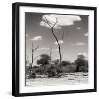 Awesome South Africa Collection Square - Savannah Landscape V-Philippe Hugonnard-Framed Photographic Print