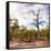 Awesome South Africa Collection Square - Savannah Landscape-Philippe Hugonnard-Framed Stretched Canvas